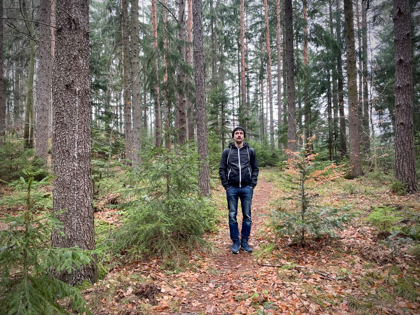 motko in the forest